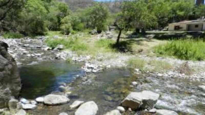 Hippies de El Tala con los días contados