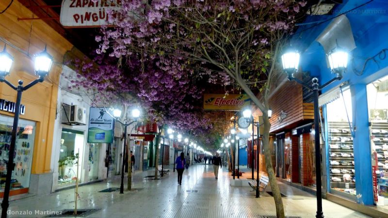 Resguardan a una niña de 13 años que robó cosméticos