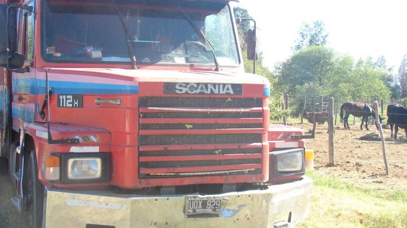 Secuestran animales vacunos en Chumbicha