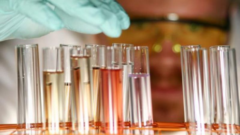 Analizan el impacto de drogas altamente adictivas sobre el circuito cognitivo