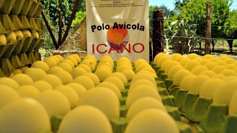 Se concretó la Primera Exposición Rural de Icaño