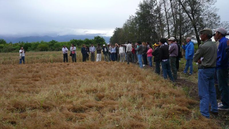 VI Jornadas a campo sobre aromáticas cultivadas en Catamarca