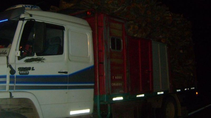 Caminera secuestró 12.000 kg de leña de algarrobo