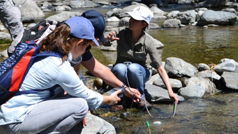 Minería continúa abriendo sus puertas a los controles mineros