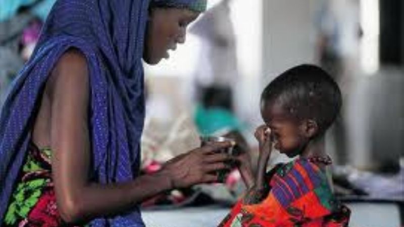 Este fin de semana se realiza la Colecta Pro África