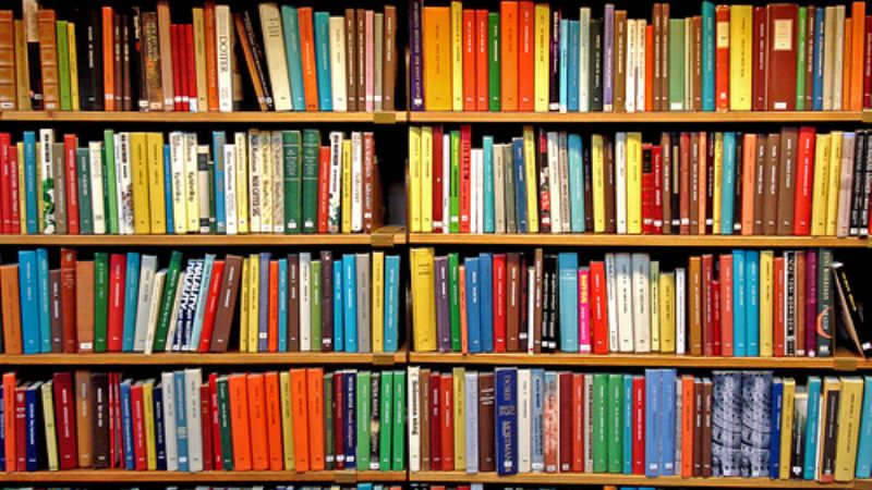 Disponen de 500 libros para bibliotecas populares