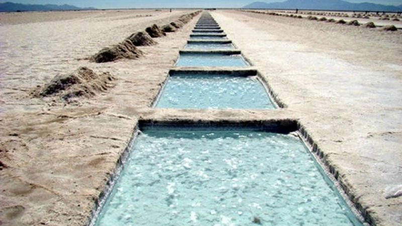 Senadores de Catamarca, Salta y Jujuy se informan sobre el futuro del litio