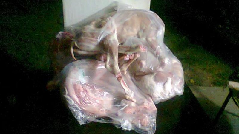 Abigeato secuestró e incineró cuatro cabritos 