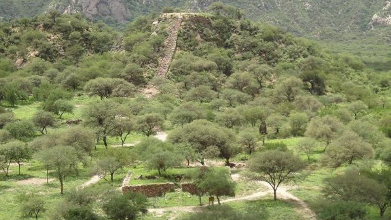 Nuevos aportes para la puesta en valor del Shincal