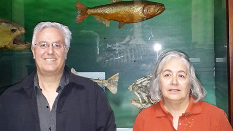 Paleontólogos pescaron un dorado de 8 millones de años de antigüedad