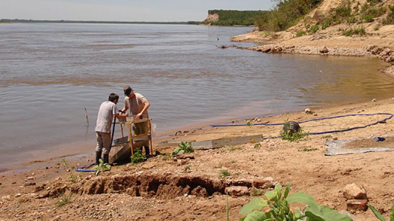 Paleontólogos pescaron un dorado de 8 millones de años de antigüedad