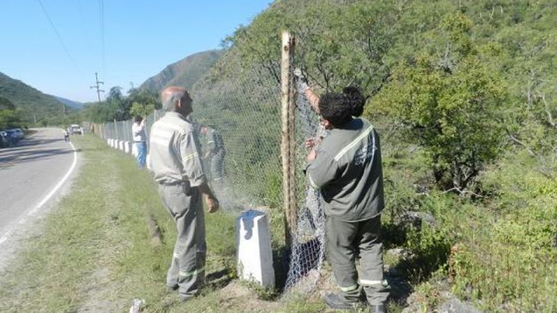 Regularizarán propiedades ubicadas camino a El Rodeo