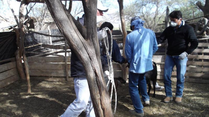 “El municipio en tu barrio” recorre todos los rincones de San José