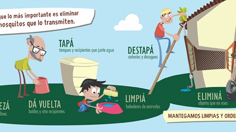 Intensas medidas de prevención contra el Dengue