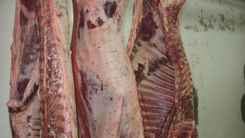 Decomisaron 280 kilos de carne vacuna
