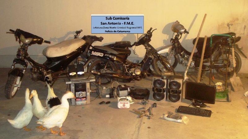 En allanamientos secuestran motos, computadoras, celulares y hasta gansos y patos
