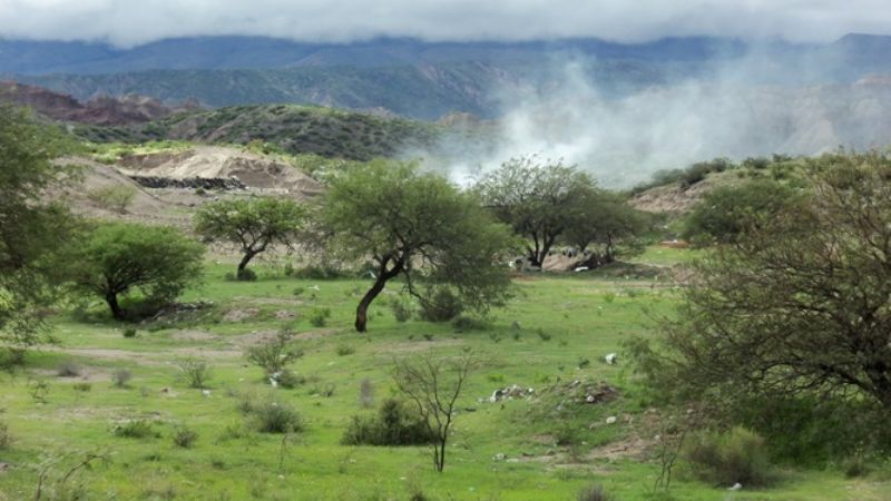 Erradicación de microbasurales