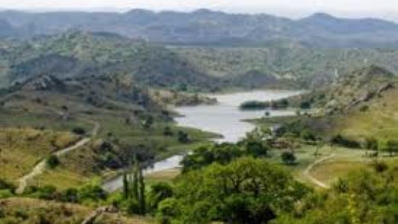 Desmintieron mortandad de peces en Ipizca