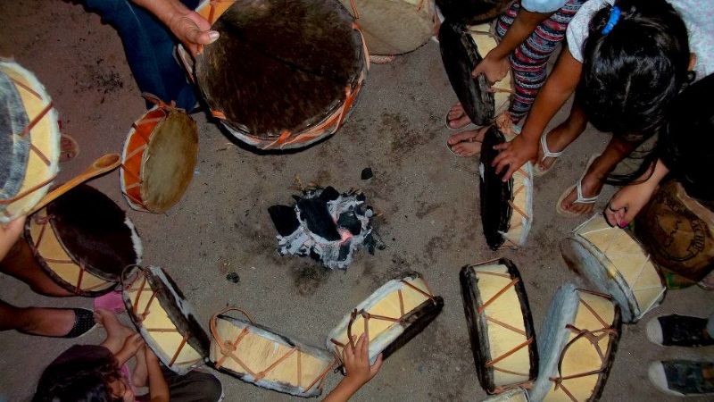 Exitosa experiencia de recuperación de la vidala