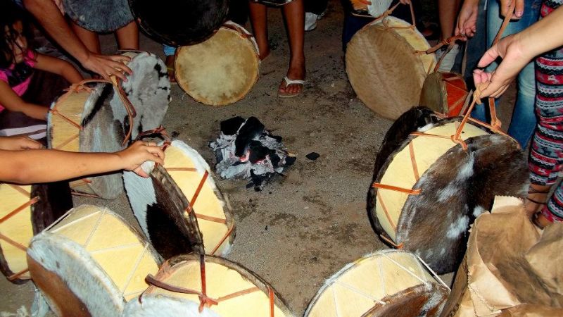 Exitosa experiencia de recuperación de la vidala