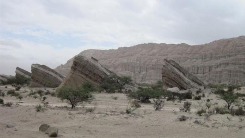 Inicia la 41ª Edicion del Festival Provincial del Misachico