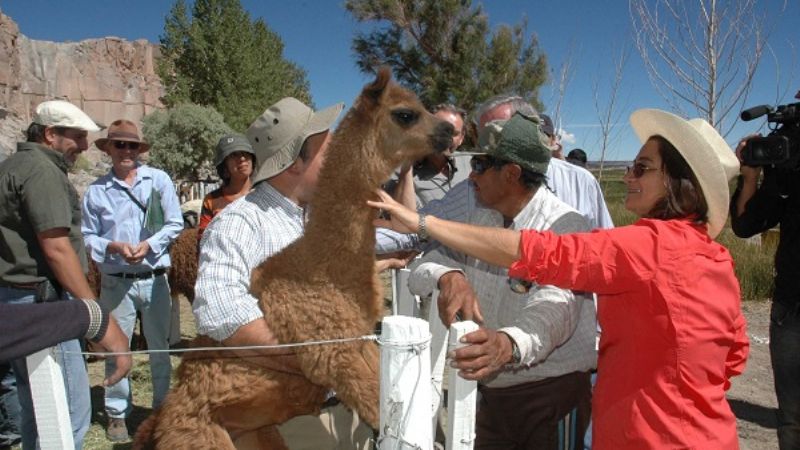 La gobernadora participó de la Feria de la Puna