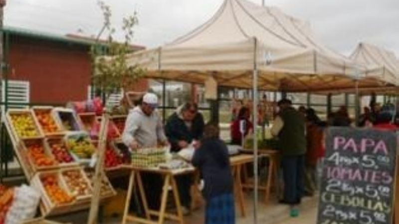 Productos Cotalí mañana en la Feria Municipal 2013