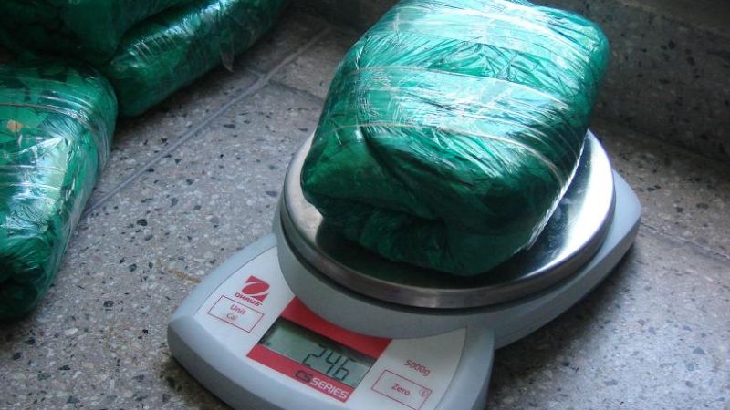 Secuestran 130 Kg. de hojas de coca