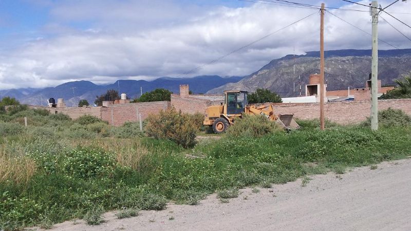 Desmalezamiento en terrenos baldíos
