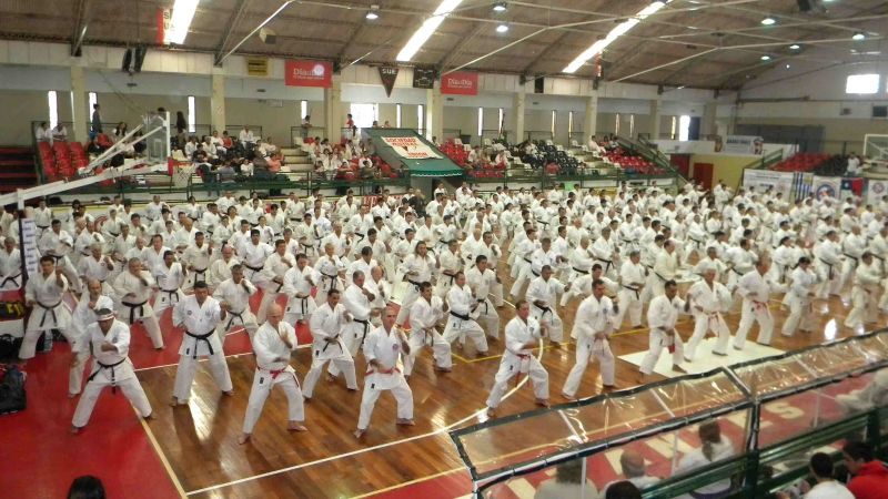 Karatecas locales participaron de seminario internacional