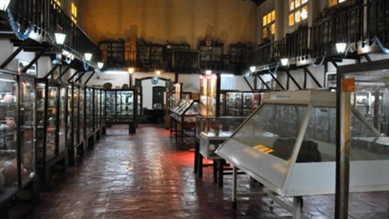 \"Museo Arqueológico Adán Quiroga\", cerrado por desinfección 