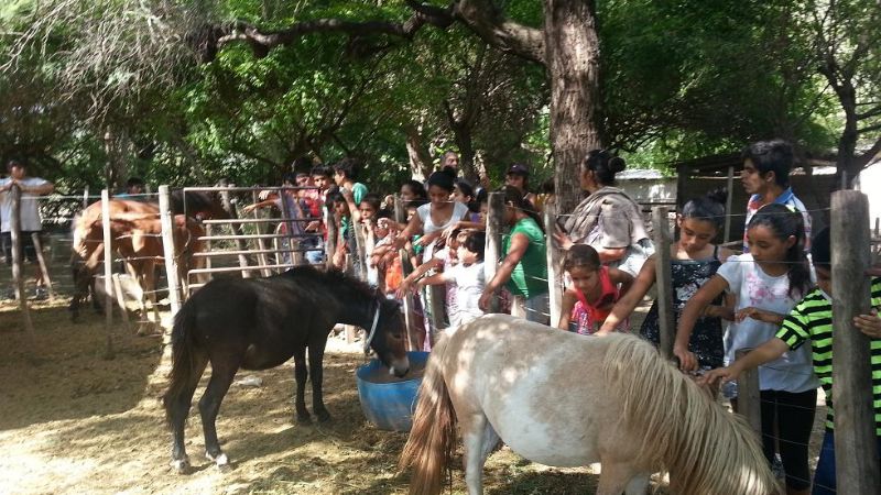 Niños de Valle Viejo a la “Granja La Soñada”