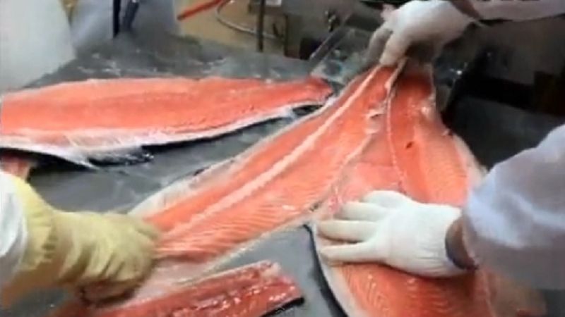 Intensifican controles en la venta de pescado