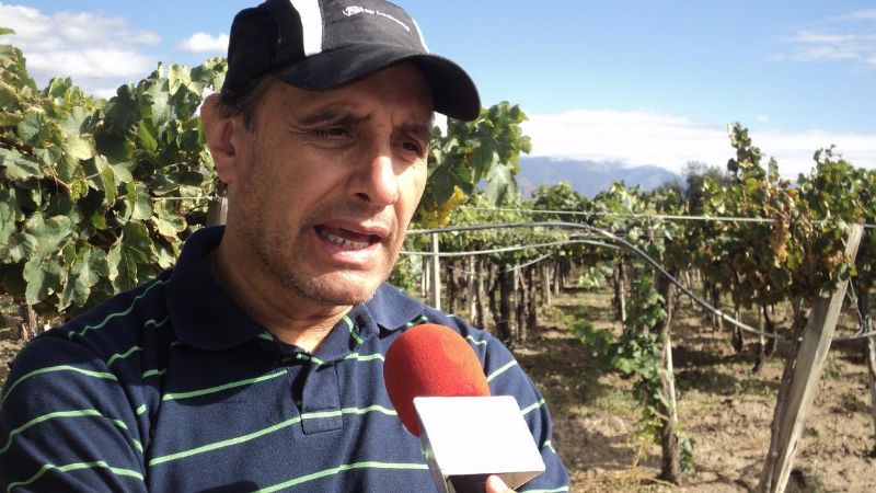 Comenzó la vendimia en la bodega de los Padres Agustinos