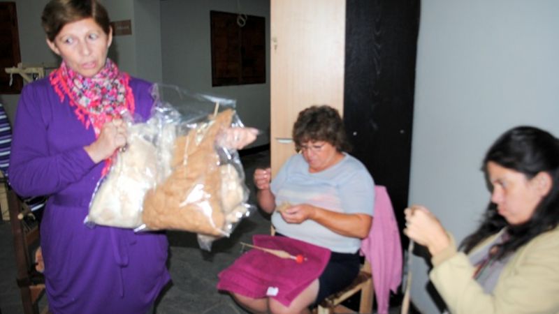 “Fibra de vicuñas de Las Grutas, antes del Paso de San Francisco”