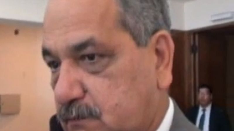 Ya está en marcha el plan de forestación en la Capital