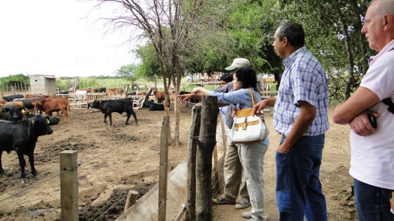 Fuerte apoyo a emprendimientos que financia el CFI