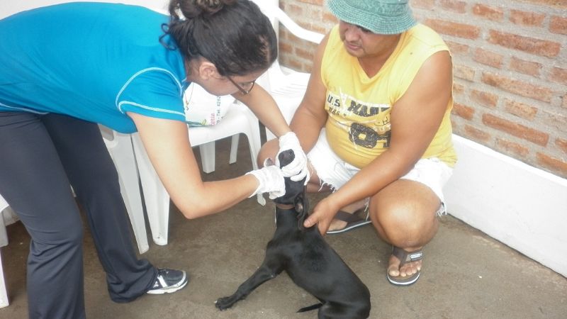 Vacunaron a más de cien animales en el barrio “Ojo de Agua”