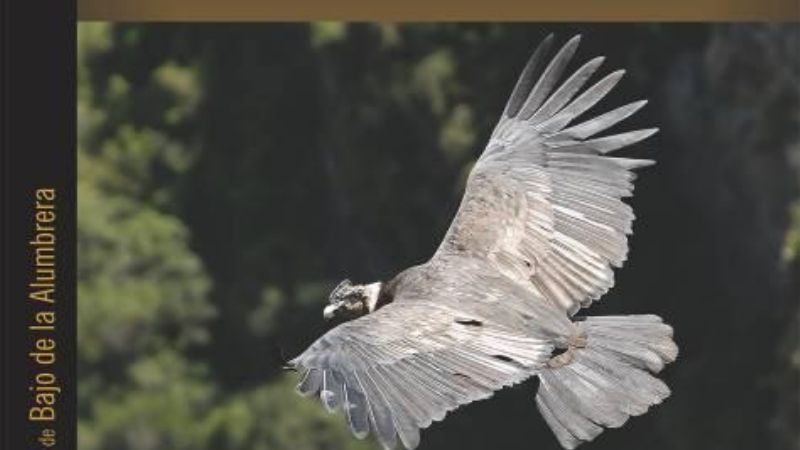  “Guía de Vertebrados de Bajo de la Alumbrera”