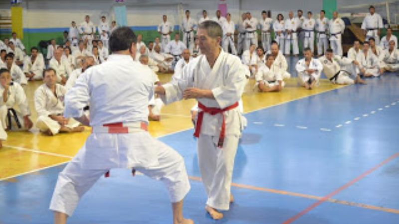 Seminario Internacional de Karate Do y Kobudo