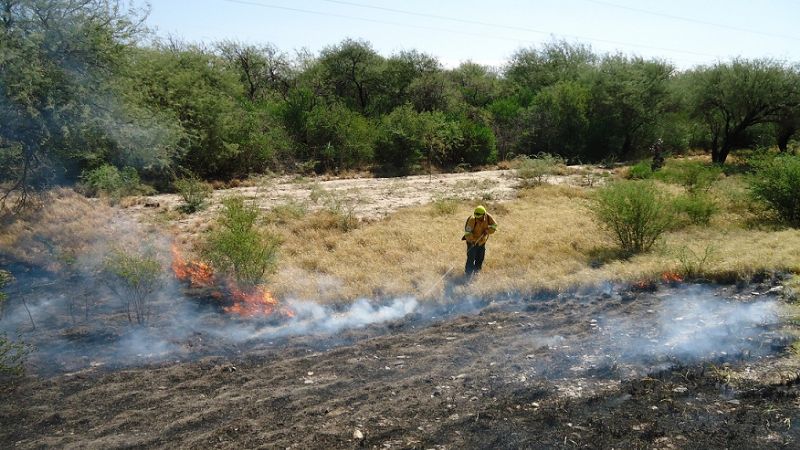 Incendio forestal en la banquina de la Ruta 33
