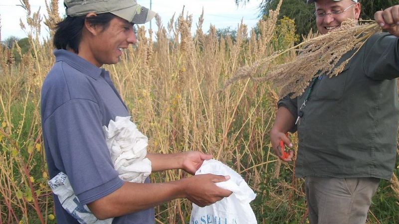 Capacitación en cultivo de quínoa