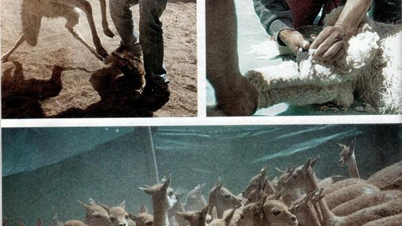 El Chacu en Revista Rumbos