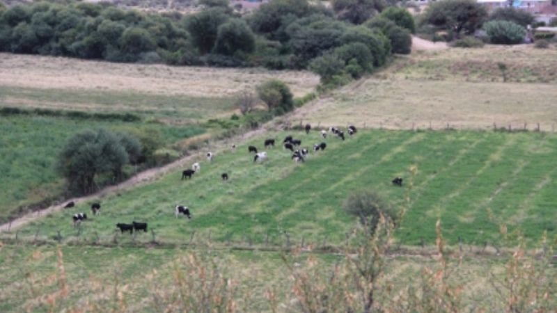 Créditos para reactivación productiva