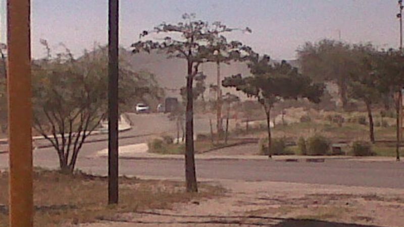 Inusuales ráfagas de 66 km por hora causaron daños