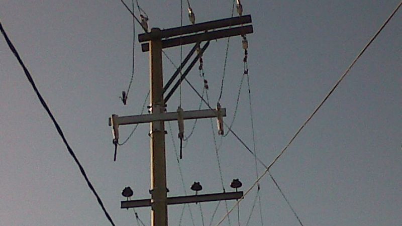 Inusuales ráfagas de 66 km por hora causaron daños