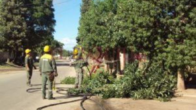 El viento ocasionó numerosos cortes de energía
