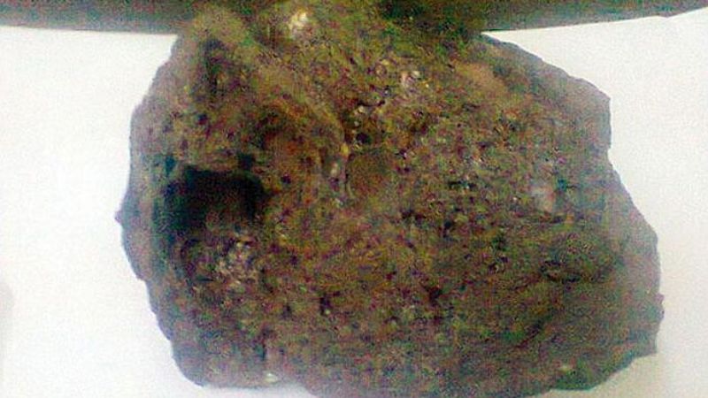 La finca santiagueña donde cayó el meteorito sería de Alperovich