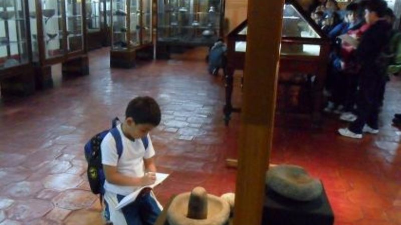 Muestras participativas en el museo Adán Quiroga