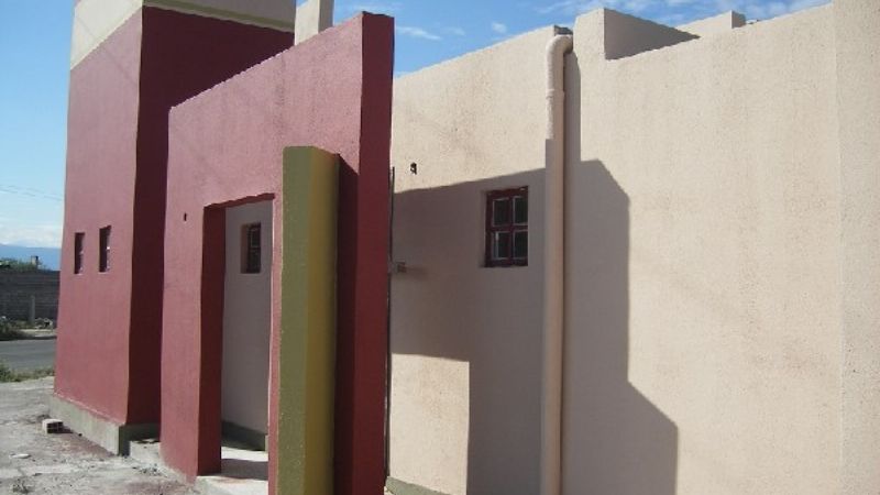 El CEM atendió a más de 7500 mascotas en la Capital